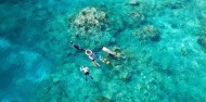 Reef Boat Day Trip - Aqua Quest image 3