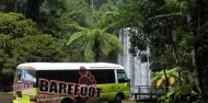 Barefoot Tours - Waterfall Day Tour image 3