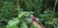 Daintree Rainforest & Cape Tribulation Tour image 4