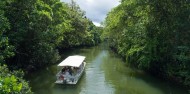 Reef & Cape Tribulation Rainforest Combo image 6