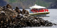 Bruny Island Cruises image 4