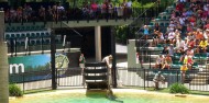 Australia Zoo Day Tour from Brisbane image 2
