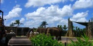 Australia Zoo image 5