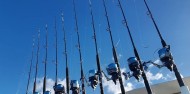 Reef Fishing - Cairns Reef Fishing Charters image 4
