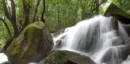 Cape Tribulation Tours - Cape Trib Connections image 8