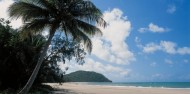 Cape Tribulation & Daintree Rainforest Tour image 2