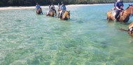 Horse Riding - Cape Tribulation Horse Rides image 5