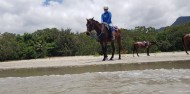 Horse Riding - Cape Tribulation Horse Rides image 6