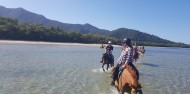 Horse Riding - Cape Tribulation Horse Rides image 7