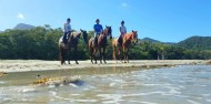 Horse Riding - Cape Tribulation Horse Rides image 3