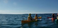 Kayaking - Cape Byron Kayaks image 3