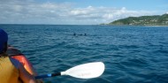 Kayaking - Cape Byron Kayaks image 6