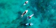 Surfing Surfers Paradise - Cheyne Horan School of Surf image 3