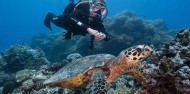 Reef Boat Overnight - Coral Sea Dreaming image 6