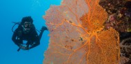 Reef Boat Overnight - Coral Sea Dreaming image 2