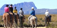 Horse Riding - Cradle Mountain image 4