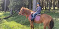 Horse Riding - Cradle Mountain image 6