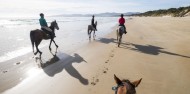 Horse Riding - Cradle Mountain image 8