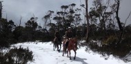 Horse Riding - Cradle Mountain image 9