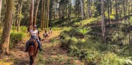 Horse Riding - Cradle Mountain image 5