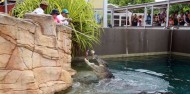 Crocosaurus Cove Big Croc Feed Experience image 2