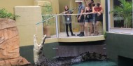 Crocosaurus Cove Big Croc Feed Experience image 4