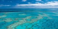 Great Barrier Reef Day Trip - Cruise Whitsundays image 5