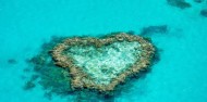 Great Barrier Reef Day Trip - Cruise Whitsundays image 3