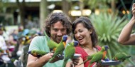 Currumbin Wildlife Sanctuary image 3