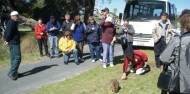 Discover Rottnest Island image 3