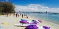 Kayaking - Dolphin & Stradbroke Island Tour image 2