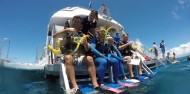 Reef Fly & Cruise Combo - Down Under Cruise & Dive image 6