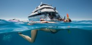 Reef Fly & Cruise Combo - Down Under Cruise & Dive image 2
