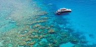 Reef Boat Day Trip - Dreamtime Dive & Snorkel image 1