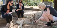 Lone Pine Koala Sanctuary & River Cruise image 4