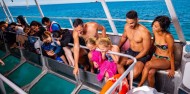 Fitzroy Island - Full Day - Sunlover Reef Cruises image 3