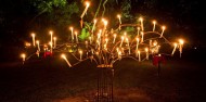 Rainforest Dining - Flames of the Forest image 3