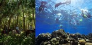 Green Island & Horse Riding Combo image 1