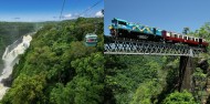 Half Day Skyrail & Kuranda Railway Combo image 1