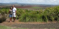 Atherton Tablelands Food Wine & Rainforest Tour - Food Trail Tours image 5