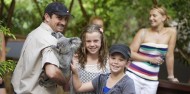 Kuranda Railway, Skyrail & Hartley's Crocodile Adventures image 10