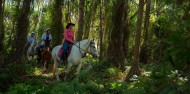 Horse Riding - Blazing Saddles image 4