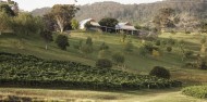 Helicopter Flight - Hunter Valley Luncheon image 4