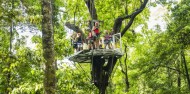 Jungle Surfing - Cape Tribulation image 1