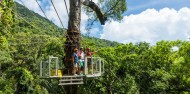 Jungle Surfing - Cape Tribulation image 3