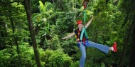 Jungle Surfing & Cape Tribulation Highlights image 2