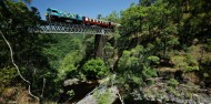 Skyrail & Kuranda Railway Combo image 4