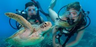Learn to Dive Course - 4 & 5 Days - Divers Den image 4