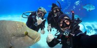 Learn to Dive Course - 4 & 5 Days - Divers Den image 1