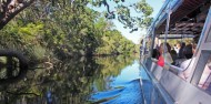 Noosa Everglades - Canoe & River Cruise image 5